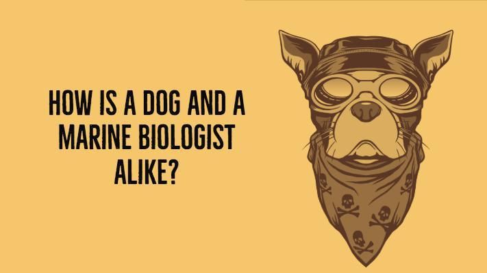 Dog and Marine Biologist Joke