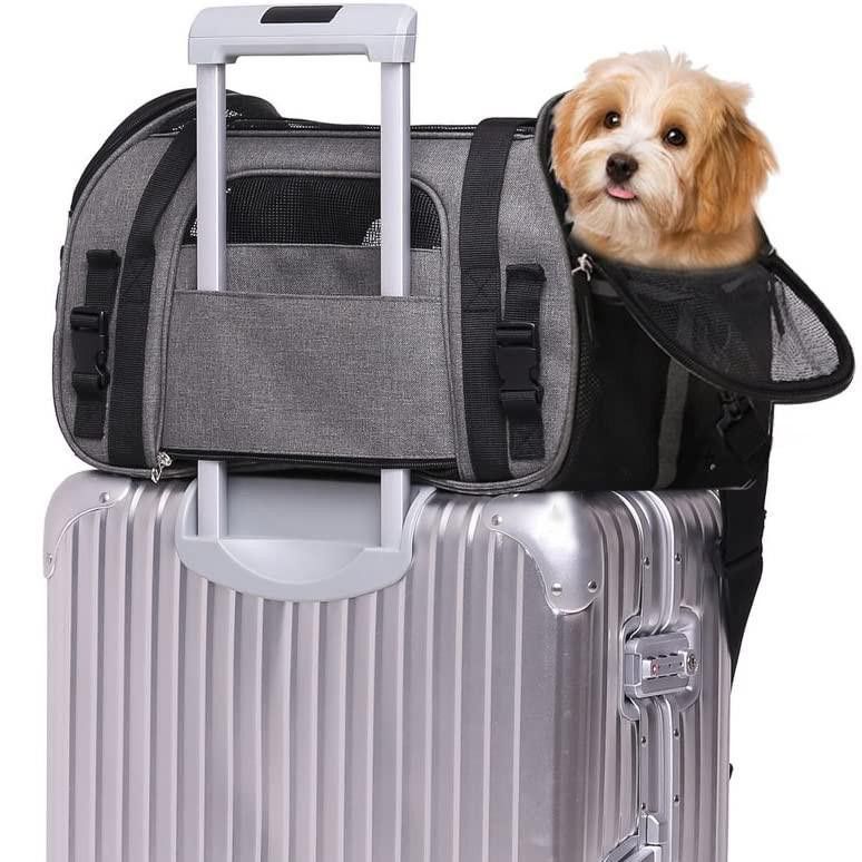 Dog carrier that attaches to luggage