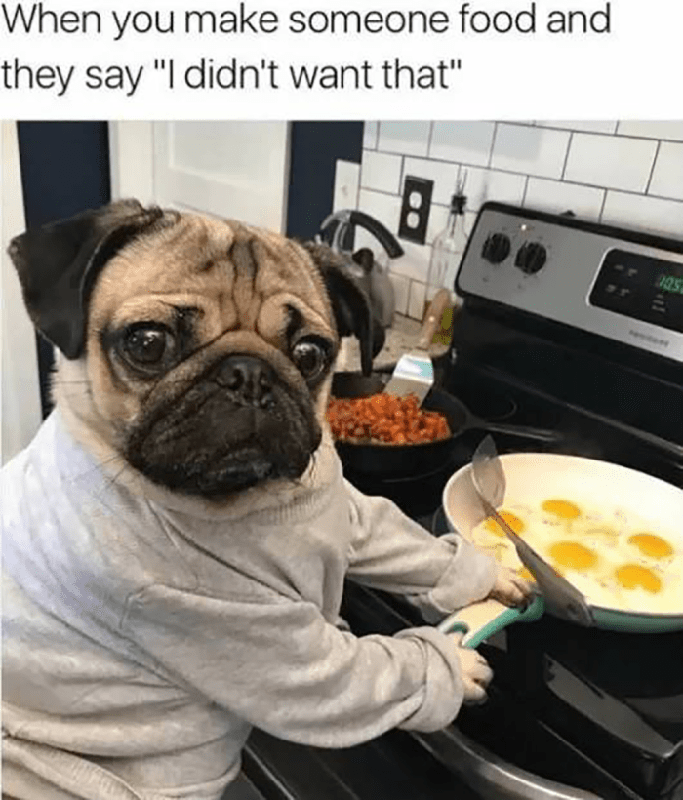 Dog chef