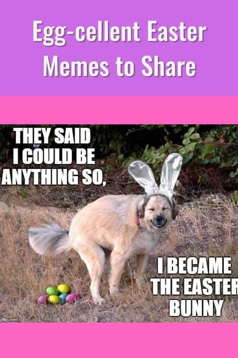 funny pictures with the easter bunny