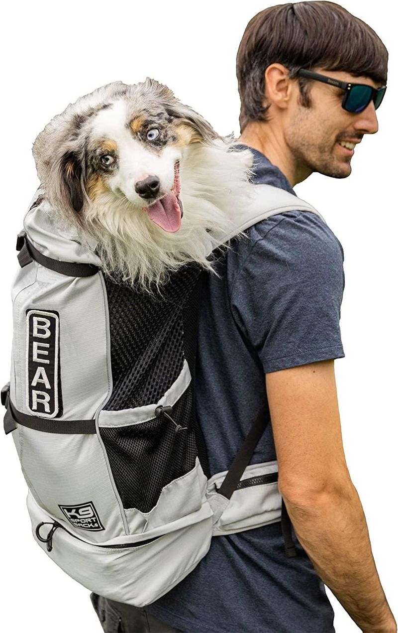 Dog emergency backpack