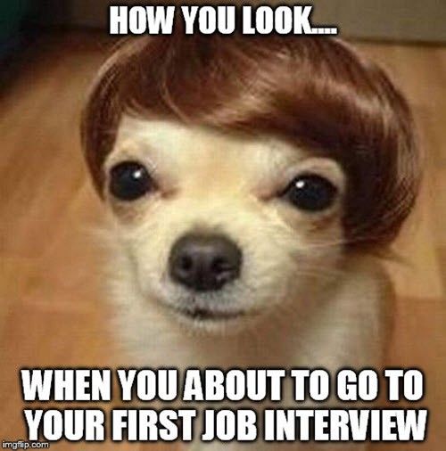 75 Hilarious Job Interview Memes | Work + Money