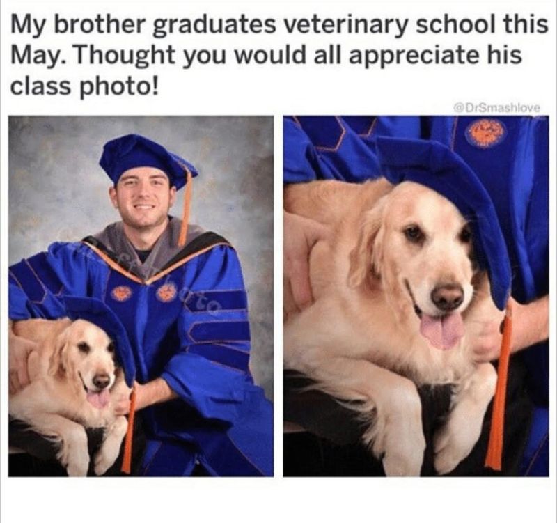 Dog graduating vet school with his owner