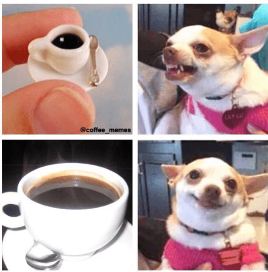 Dog growling at small coffee