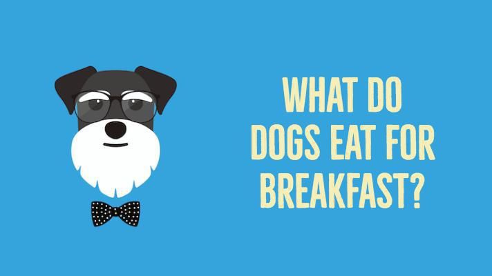 Dog joke about breakfast