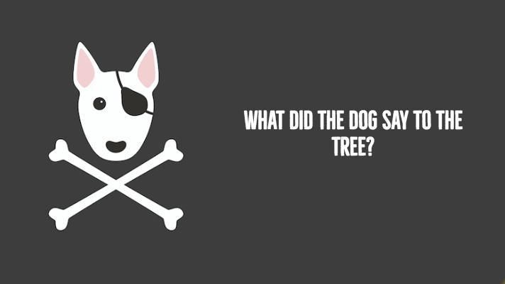 Dog Joke: What did the dog say to the tree?