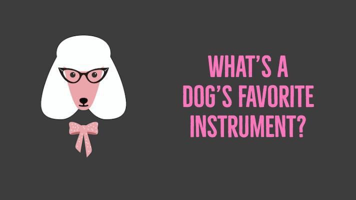 Dog joke: What’s a dog’s favorite instrument?
