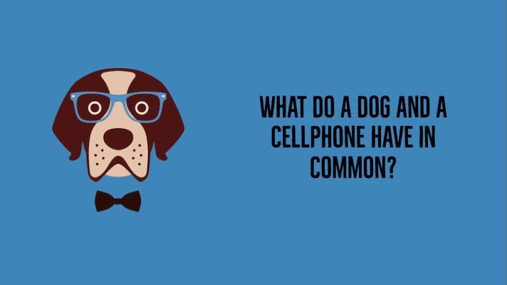 40 Funny Dog Jokes That Will Make You Howl | FamilyMinded