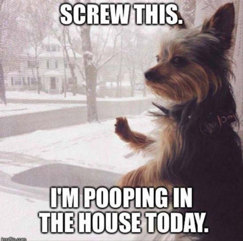 Cold-Weather Memes That'll Make You Laugh Out Loud | Far & Wide