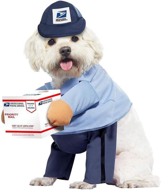 Dog mail carrier costume