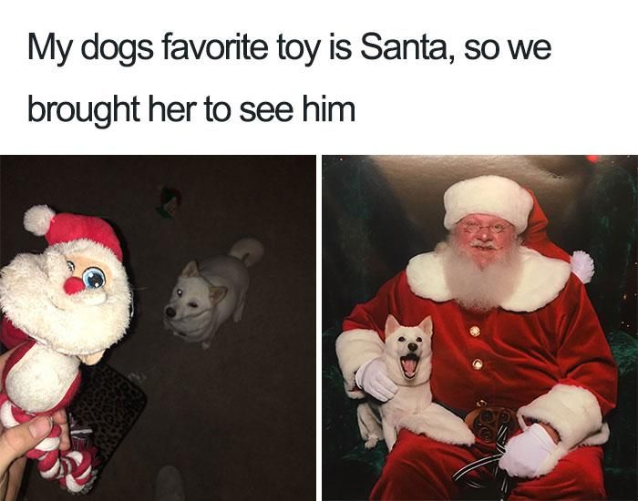 Dog photo with Santa