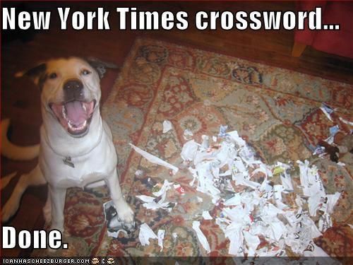 dog ripping up newspaper