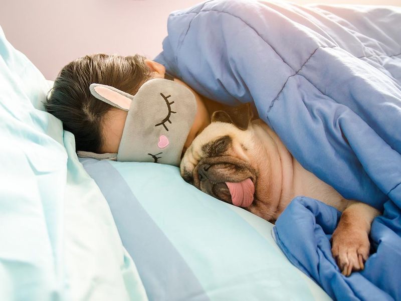 Dog sleeping in bed with young woman
