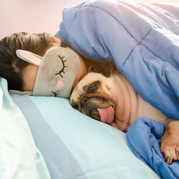 Doctor Dog: Should Dogs Sleep in Your Bed?