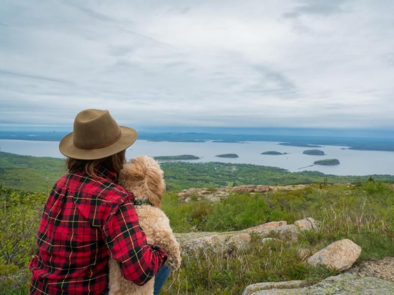 Dog vacation in Bar Harbor, Maine