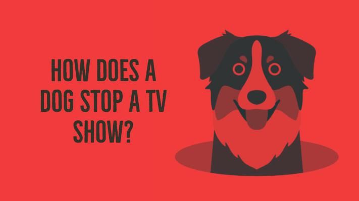 Dog Watching TV Joke