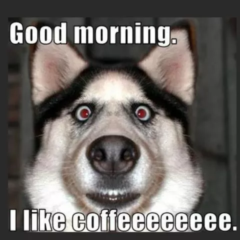 funny good morning coffee images