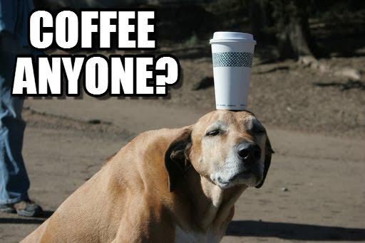 Dog with morning coffee meme