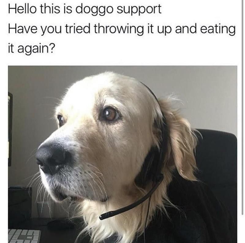 Doggo help line
