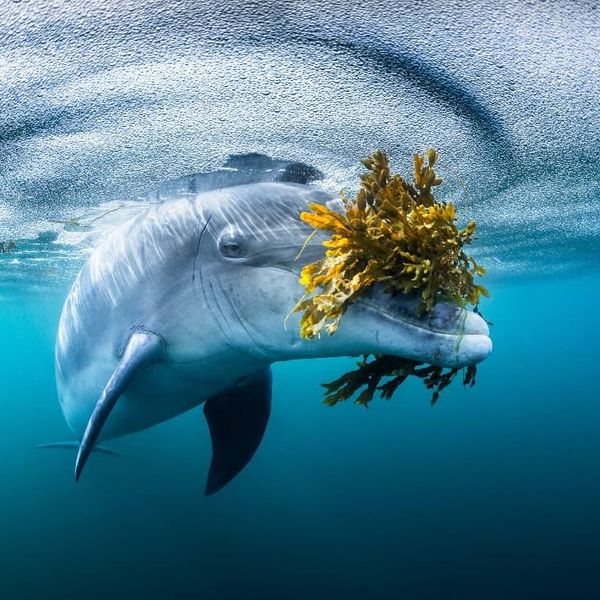 These Beautiful Ocean Pictures Are What We Need Right Now