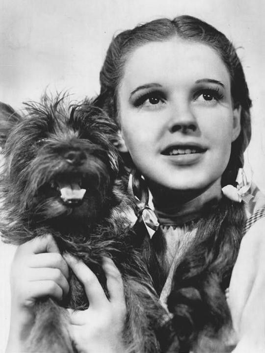 Dorothy and her dog Toto in "The Wizard of Oz"