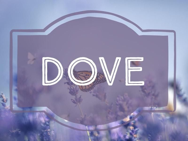 Dove nature-inspired baby name