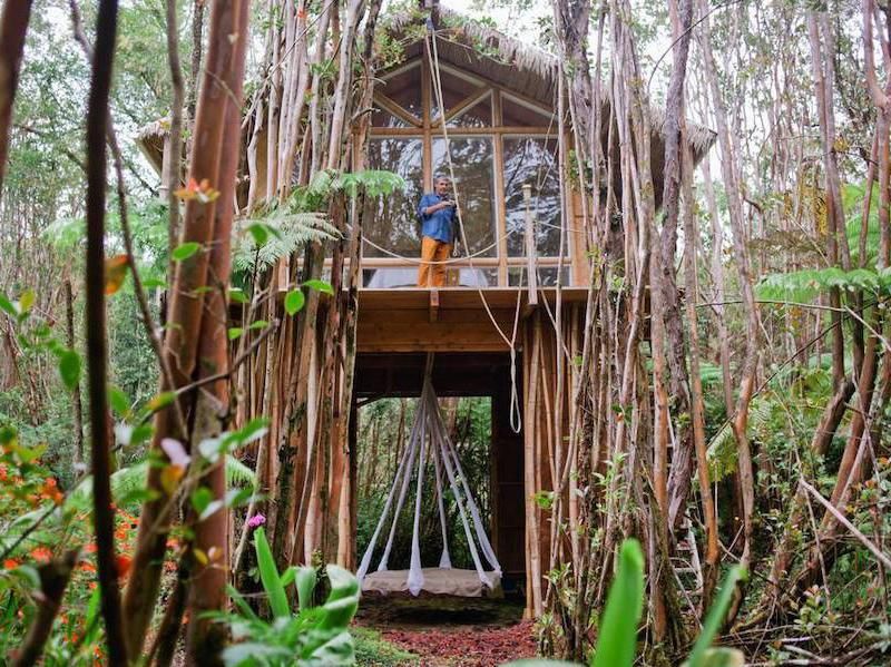 Dreamy Tropical Tree House