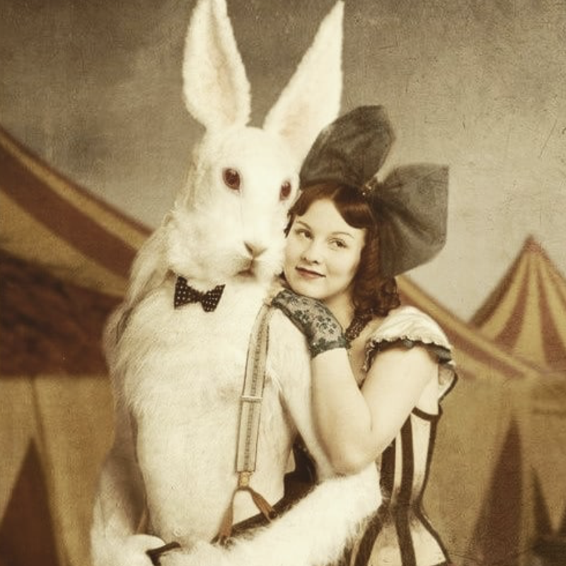 Dressed bunny and woman