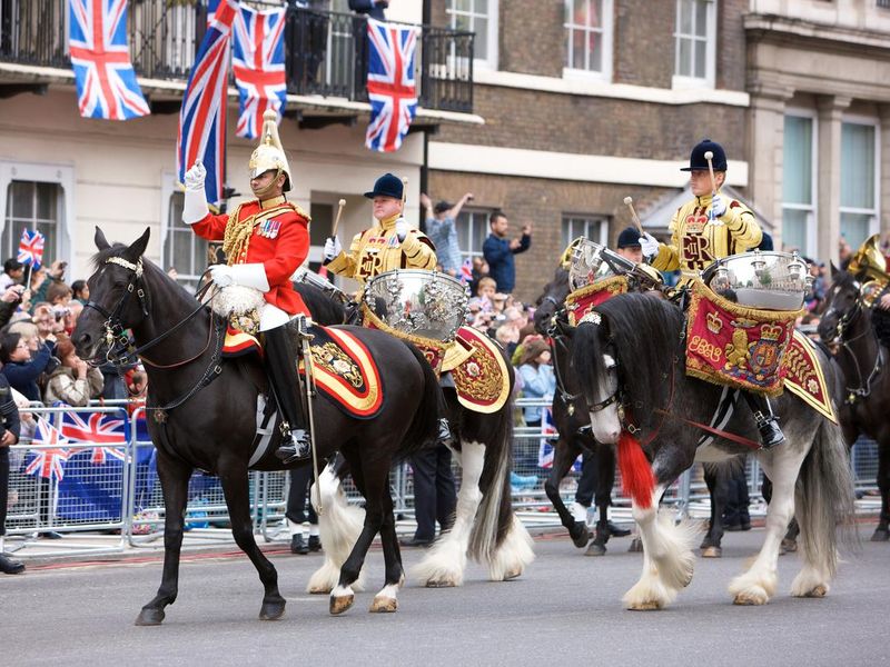 Drum horses for the Queen's Diamond Jubilee state procession