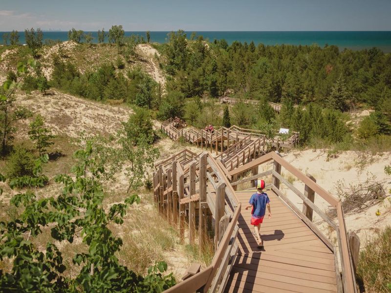 Dune succession trail in Indiana Dunes National Park