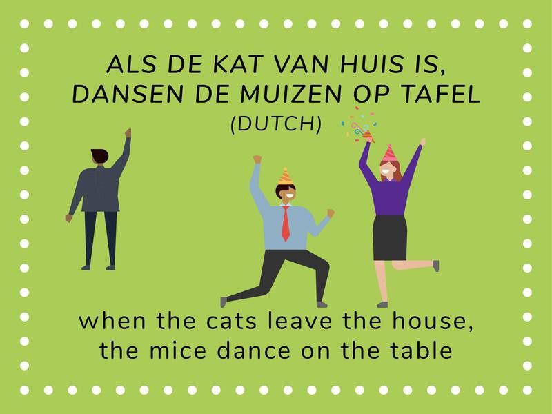 Dutch funny sayings