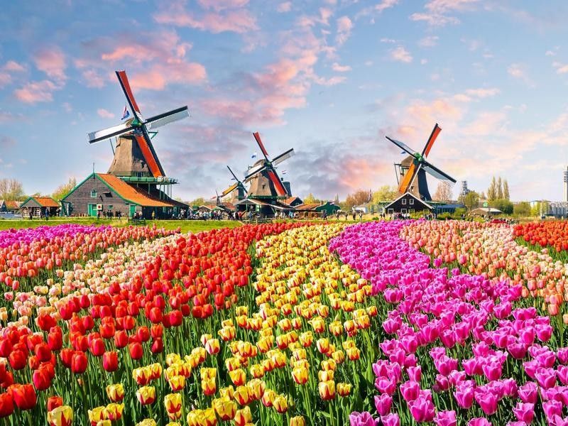 Dutch windmills and houses