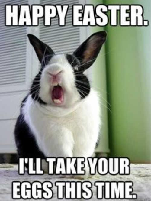 Easter bunny wants to take your eggs