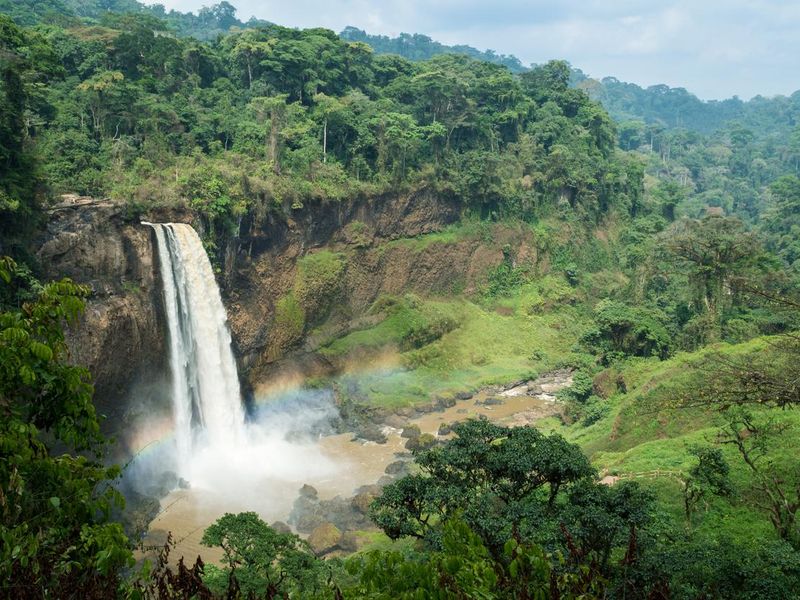 Ekom-Nkam Waterfalls in the rainforest, Melong, Cameroon, western Africa.