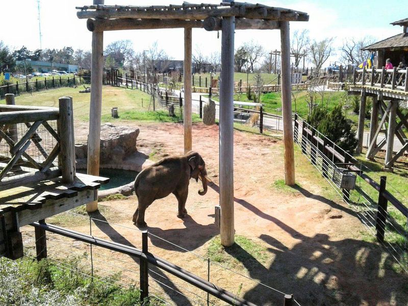 Elephant enclosure at Oklahoma City Zoo