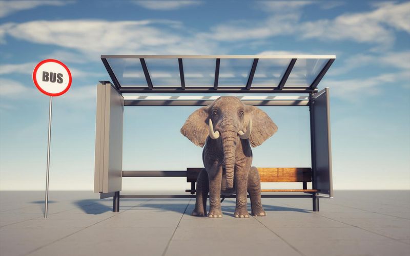 Elephant sitting in a bus station. This is a 3d render illustration.  Computer composites, illustrations or CGI of animals in unnatural situations are acceptable.