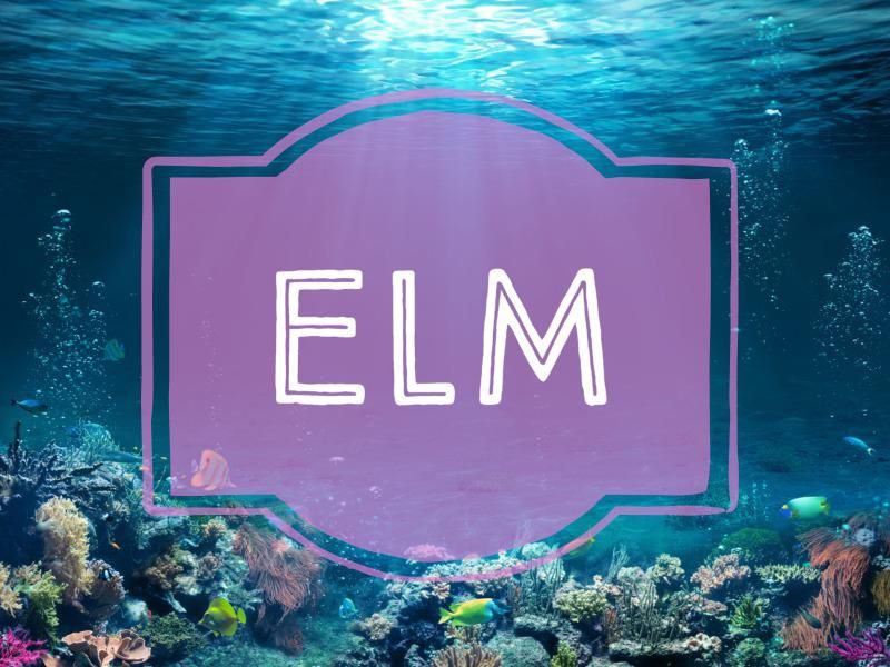 Elm nature-inspired baby name
