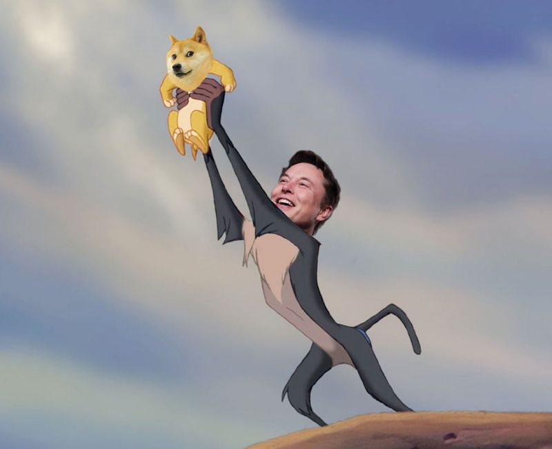 Elon Musk Lion King Dogecoin meme