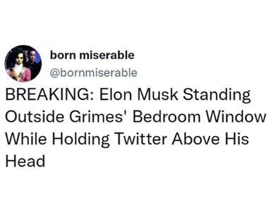 Elon Musk meme