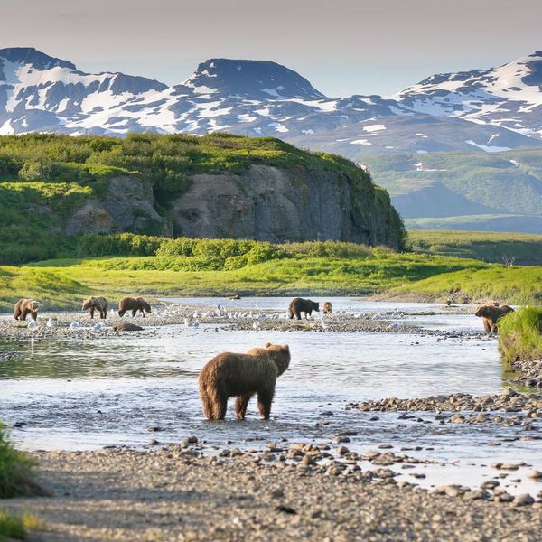 All 8 Alaska National Parks, Ranked From Pretty to Stunning