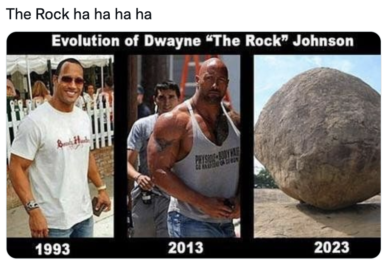 Evolution of Dwayne the Rock