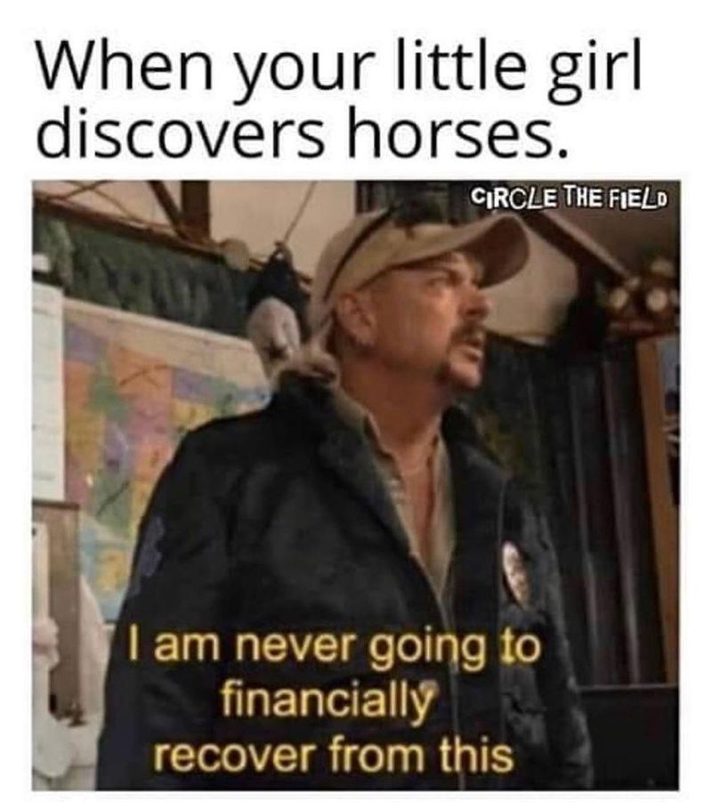 Expensive equestrian life meme