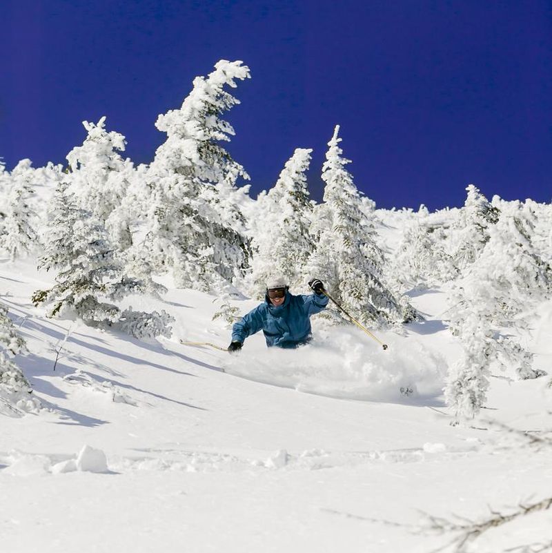 Expert skier skiing powder, Stowe, Vermont