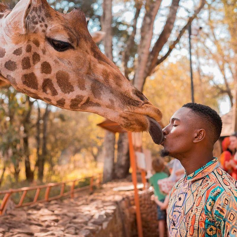 Fahad Fuad kissing giraffe