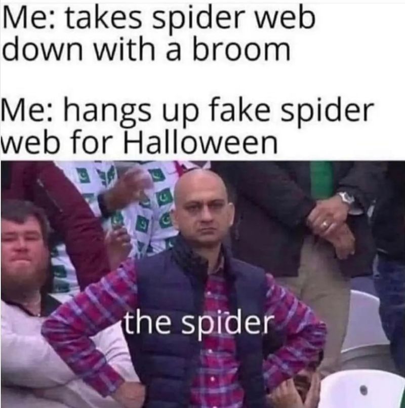 Fake spider web meme