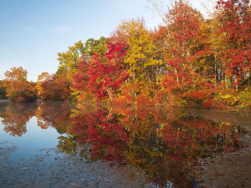 Fall colors at Hidden Lake