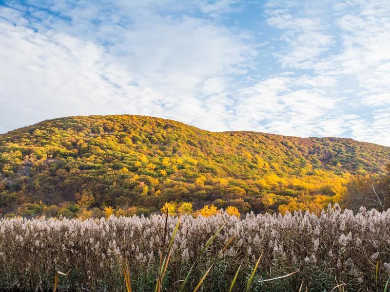 Fall in Bear Mountain State Park