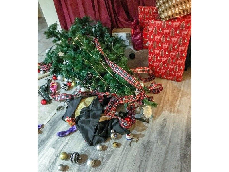 Fallen Christmas tree on the floor