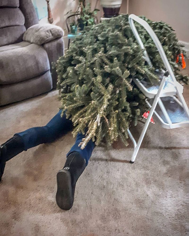Fallen Christmas tree