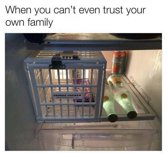 34 Funny Family Memes to Brighten Your Day | FamilyMinded